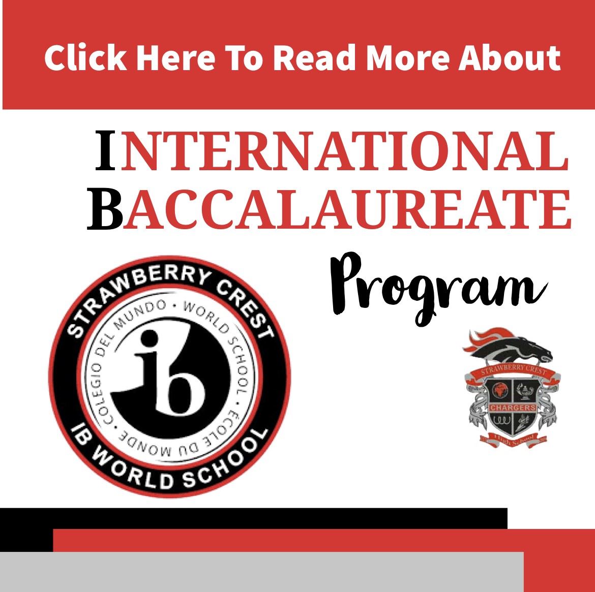  SCHS IB Program Info